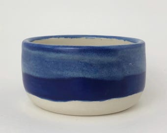 Blaue Steingut Hunde / Katzen schüssel
