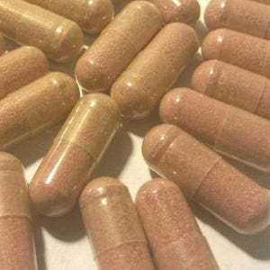 Coleus Forskolii  &gt;&gt; 100 CAPSULES