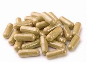 Java Plum > Syzygium Cumini >> 450 mg / 100 Caps