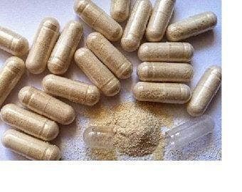 Shiitake / Reishi / Maitake / Chaga / Turkey Tail / Lion&#39;s Mane & Cordyceps &gt;&gt;  7 Mushroom Blend &gt; 200 VEGGIE CAPS
