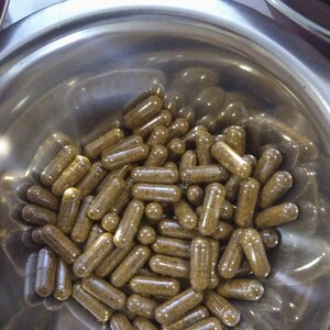 Cassia Seed Extract &gt;&gt; 200 VEGGIE CAPS  (Cassia Obtusifolia)