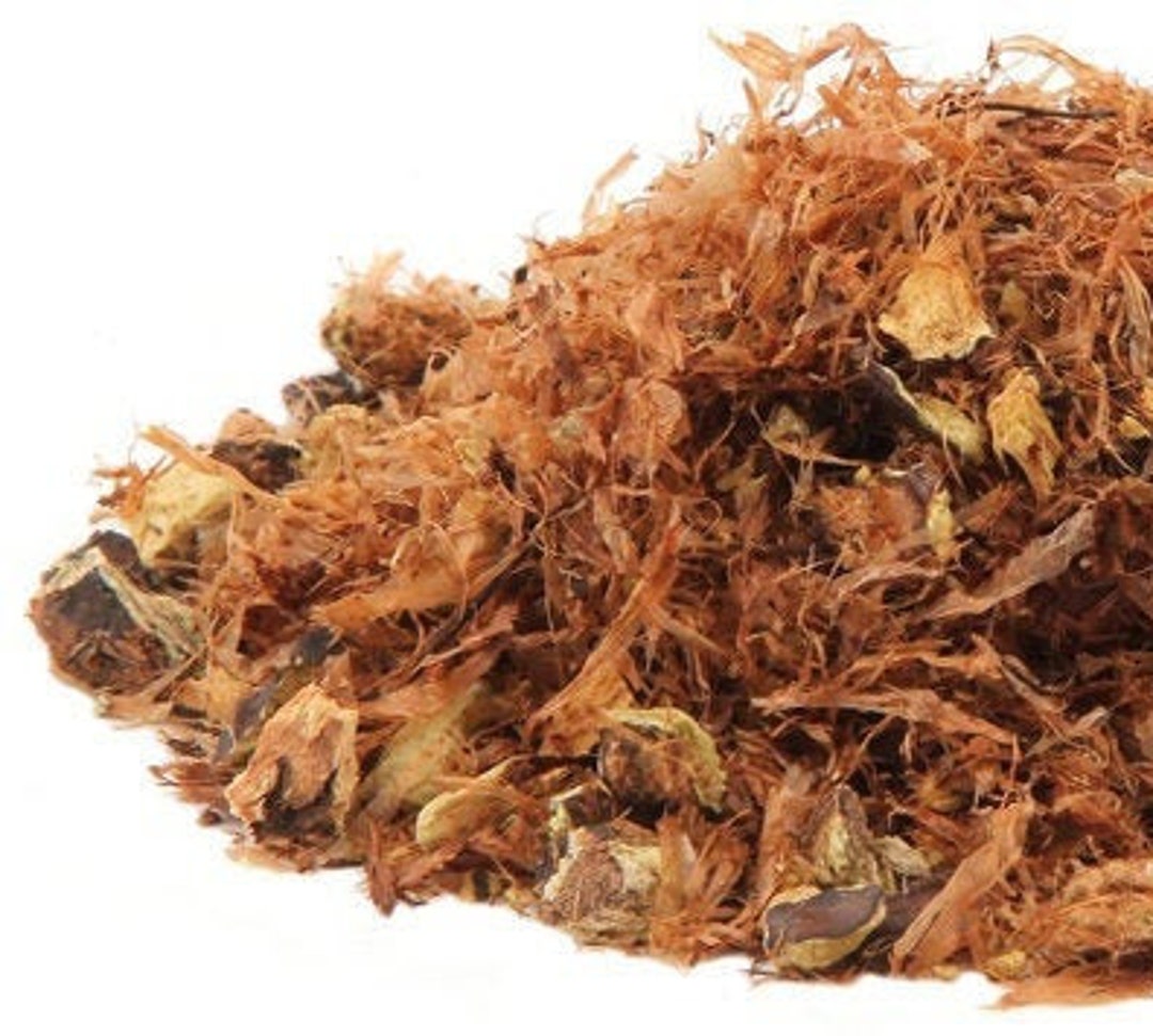 Male Fern Root Aspidium Filixmas 30 GRAMS Etsy