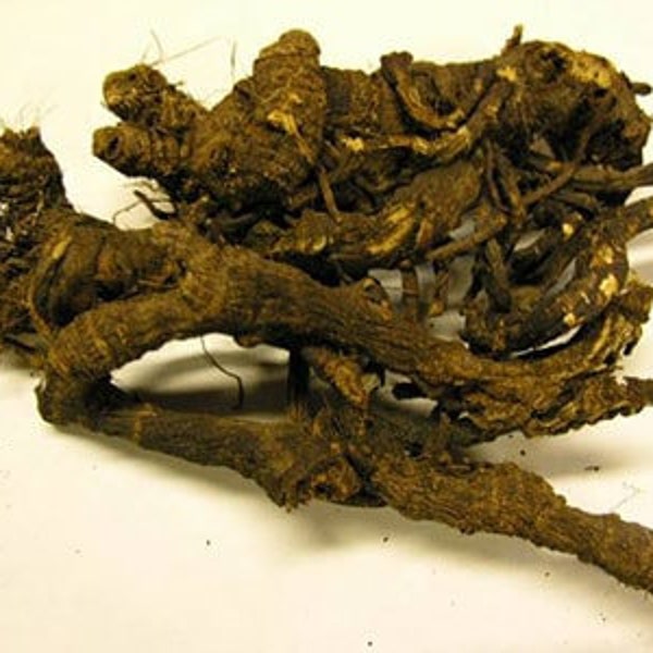 Osha Root  >>  Ligusticum Porteri  >> 20 GRAMS