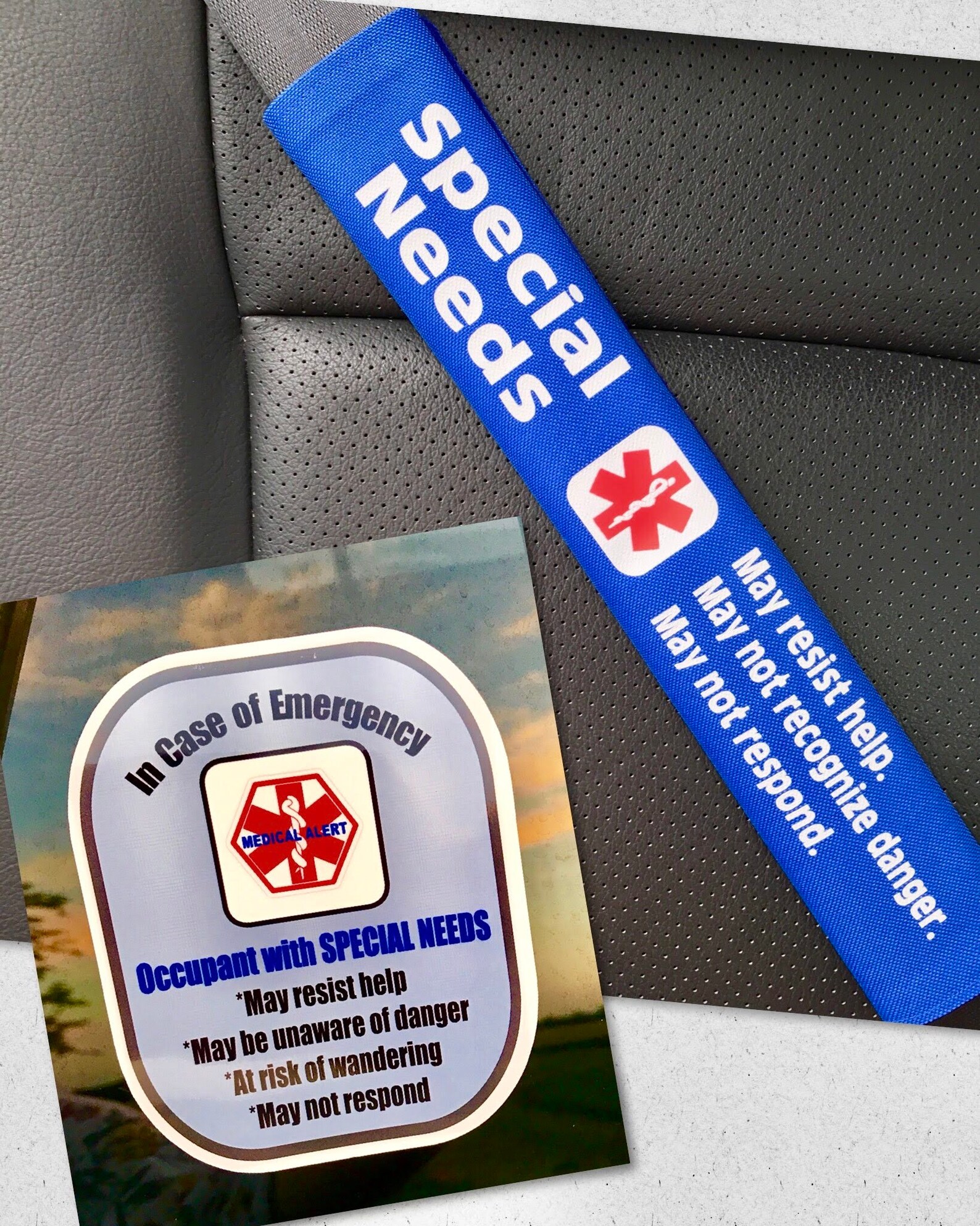 Special Needs Safety Set Seat Belt Cover Window Decal Set Etsy