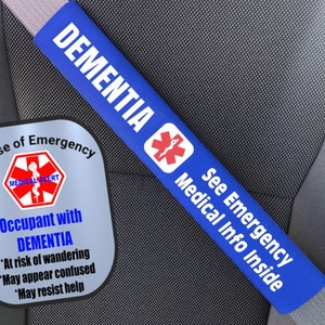 Type 1 Diabetic Safety Set Seat Belt Cover T1D Diabetes Window Decal Set Type 1 Diabetic Safety Set Seat Belt Cover T1D Diabetes Window Decal Set