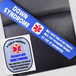 Sindrome di Down sicurezza cintura copertina finestra Decal Set