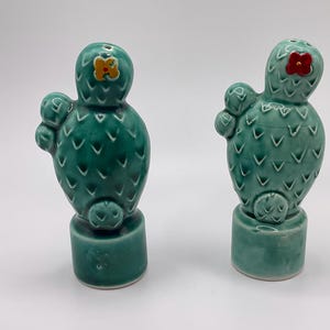 Salty McGoon Here! Vintage Japan Ceramic Cactus Salt & Pepper Shakers- Salty McGoon Wanted Poster