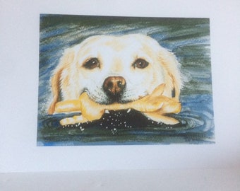 3 Golden Retriever Pet Portrait Dessin De Chien Original Etsy