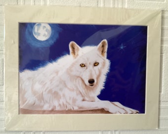 White Wolf Print 14 x 11 inches mounted