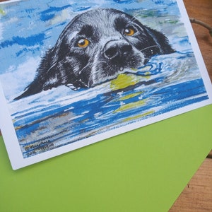 Black Dog Swimming Card A6 size image 2