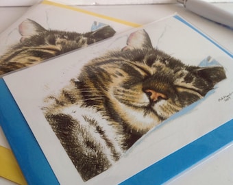 Sleeping Tabby Cat Greeting  Card, A6 size