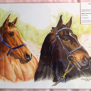 Horses A5 Illustration Print