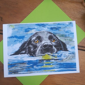 Black Dog Swimming Card A6 size image 1