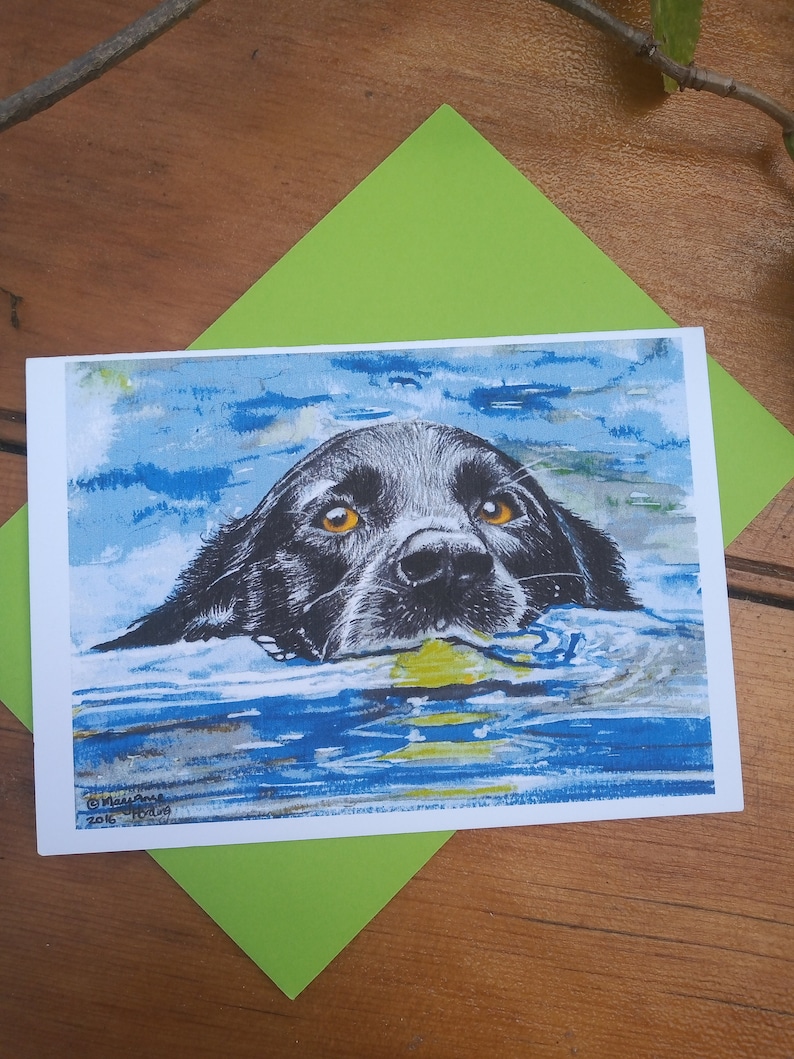 Black Dog Swimming Card A6 size image 1