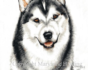 Alaskan Malamute Dog Illustration Print