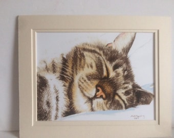 Sleeping Tabby Cat Print, Size 6 x 8 inches. Mounted or unmounted