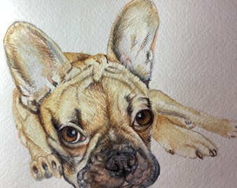 Dog Portrait, A5 Custom Dog,Hand Drawn Pet Portrait, Pet Loss Portrait. Commissioned