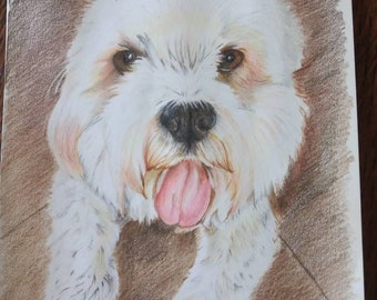 Dog Portrait, A4 Custom Dog,Hand Drawn Pet Portrait, Pet Loss Portrait. Commissioned