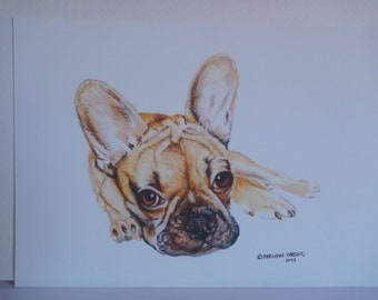 French Bull Dog Print, Drawing Print of a French Bull Dog, Coloured Pencil Drawing print