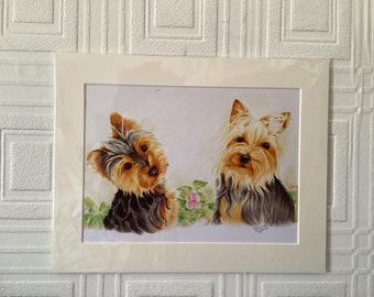 Yorkshire Terriers Print 14 x 11 inches mounted