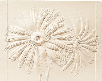 8 Daisies Cards. Mothers Day Gift. Floral cards Flowers card Pack of cards  Blank inside.