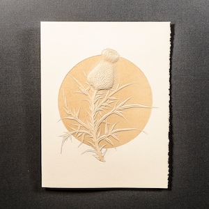 6 cartes en relief Chardon. Cartes fleurs en typographie. Jeu de 6 cartes. Intérieur vierge.