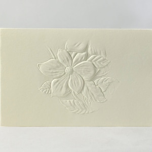 8 kaarten met reliëfkornoelje uit de Pacific. Cadeauset voor briefpapier. Bloemenkaarten. Botanische kaarten. Blanco binnenkant.