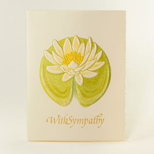 Cartão de nenúfar de simpatia. Cartão de tristeza. Cartão de conforto. Com cartão de simpatia. Cartão de flor de lótus. Cartão único ou conjunto de 6 cartões. Em branco por dentro.