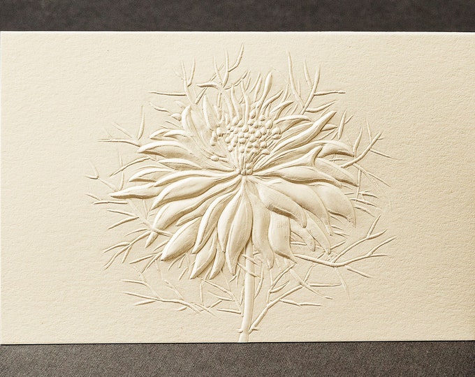 8 Embossed Flower Cards. Love in a Mist note cards. Stationery gift. Floral cards. Botanical cards. Blank inside.