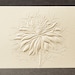 see more listings in the Embossed Flower Sets section