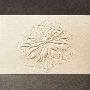 エンボス加工されたフラワーカード 8 枚。Love in a Mist ノートカード。文房具ギフト。花柄カード。植物カード。内側は空白。