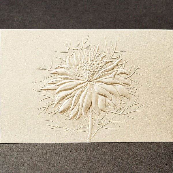 8 Embossed Flower Cards. Love in a Mist note cards.Stationery gift. Floral cards. Botanical cards. Blank inside.
