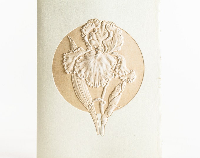 6 Iris embossed cards.Letterpress Flower cards. Set of 6 cards.Blank inside.Big Iris card.