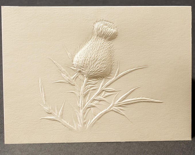6 Thistle Embossed Cards.Stationery gift. Floral cards.Botanical cards. Blank inside.