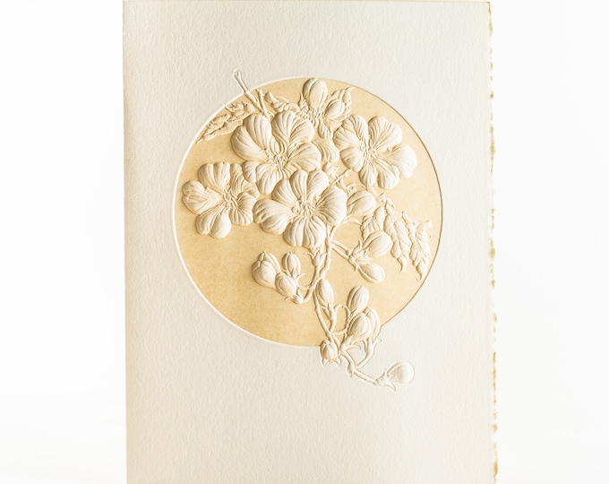 6 Plum Blossom Cards.Mothers Day Gift. Floral cards.Botanical cards. Blank inside.