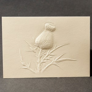 8 Thistle Embossed Cards. Stationery gift. Floral cards.Botanical cards. Blank inside.