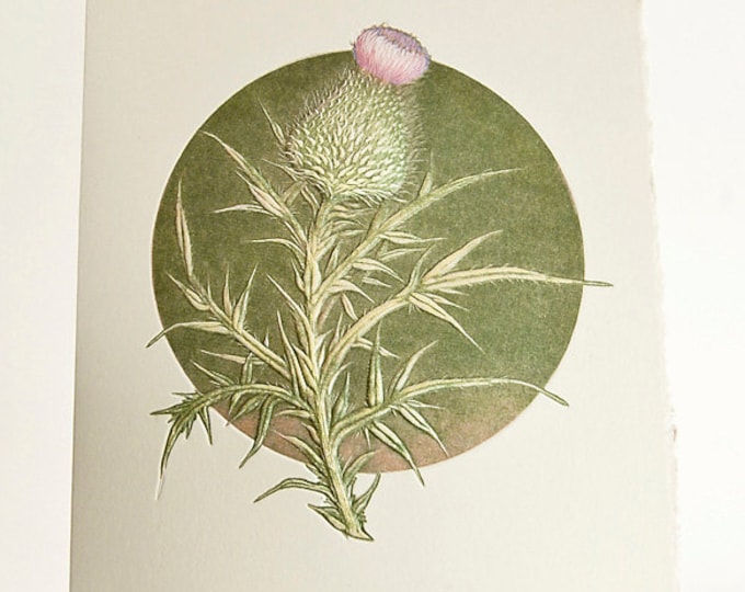 Embossed Thistle Letterpress Card – Botanical Floral Stationery (Set of 6 or Single)