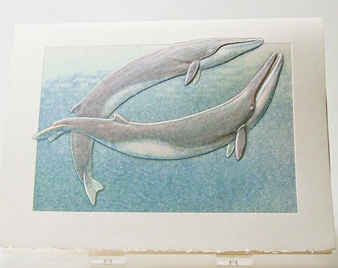 Fin Whales Card. Couple card.Wildlife card Embossed Set of 6 cards or Single Card. Blank inside.