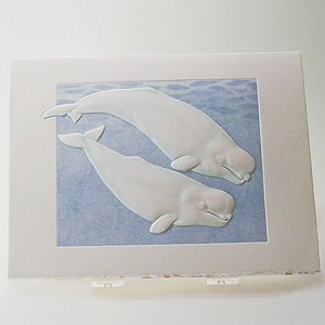 Beluga Wale Karte.Paarkarte.Wildtierkarte Geprägtes Set von 6 Karten oder Einzelkarte. Innen leer.
