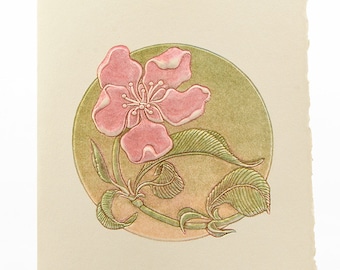 Peach Flower Letterpress Card. Embossed Flower.Pack of 6 cards or Single card Blank inside.