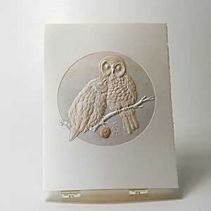 Pygmy Owls Love Card. Owl Notecard. Letterpress. Embossed. Single card. Blank inside.