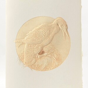 Carte d'oiseaux nicheurs. Carte Oiseau. Carte nid d'oiseau. Carte typographique New Home. Carte unique. Blanc à l'intérieur.