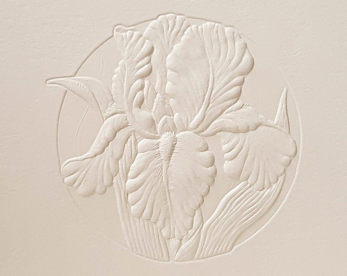 8 Embossed Iris Cards Flower Letterpress Set Floral card Birthday. Blank inside.