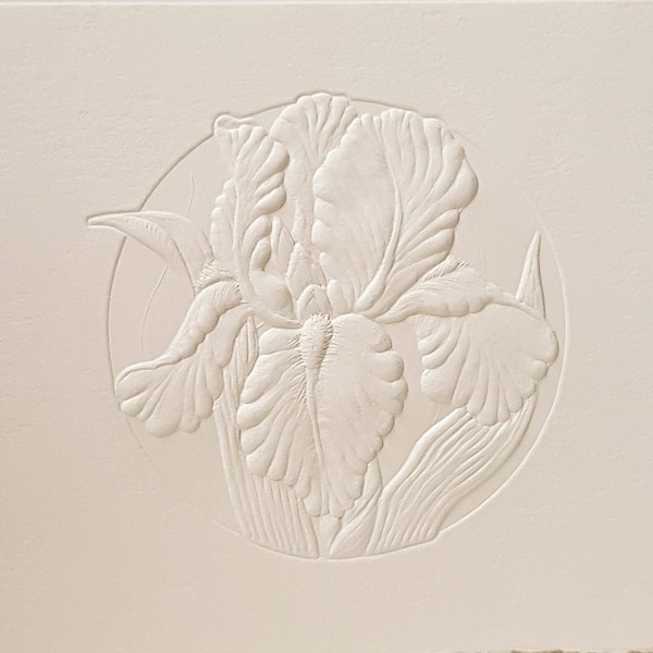 8 Embossed Iris Cards Flower Letterpress Set Floral card Birthday. Blank inside.