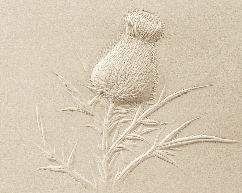 May include: A detailed, sepia-toned image of a thistle plant. The image highlights the spiky flower head and leaves, showcasing the plant's texture and form. The artwork is rendered in a relief style, giving it a three-dimensional appearance.
