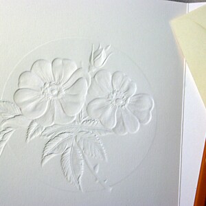 Wild Rose Card. Embossed floral card. 6 card set or Single card. Blank inside. image 3