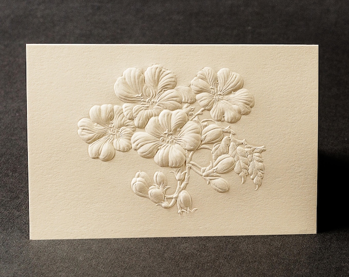 8 Plum Blossom Embossed Cards.Mothers Day Gift. Floral cards.Botanical cards. Blank inside.
