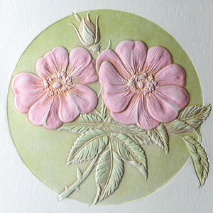 Wild Rose Card. Embossed floral card. 6 card set or Single card. Blank inside. image 2