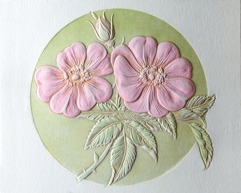 Wild Rose Card. Embossed floral card. 6 card set or Single card. Blank inside. image 2