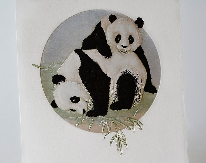 Panda Bears Card Animals Card. Mom and baby card. Set of 6 cards  or  Single Card Blank Inside